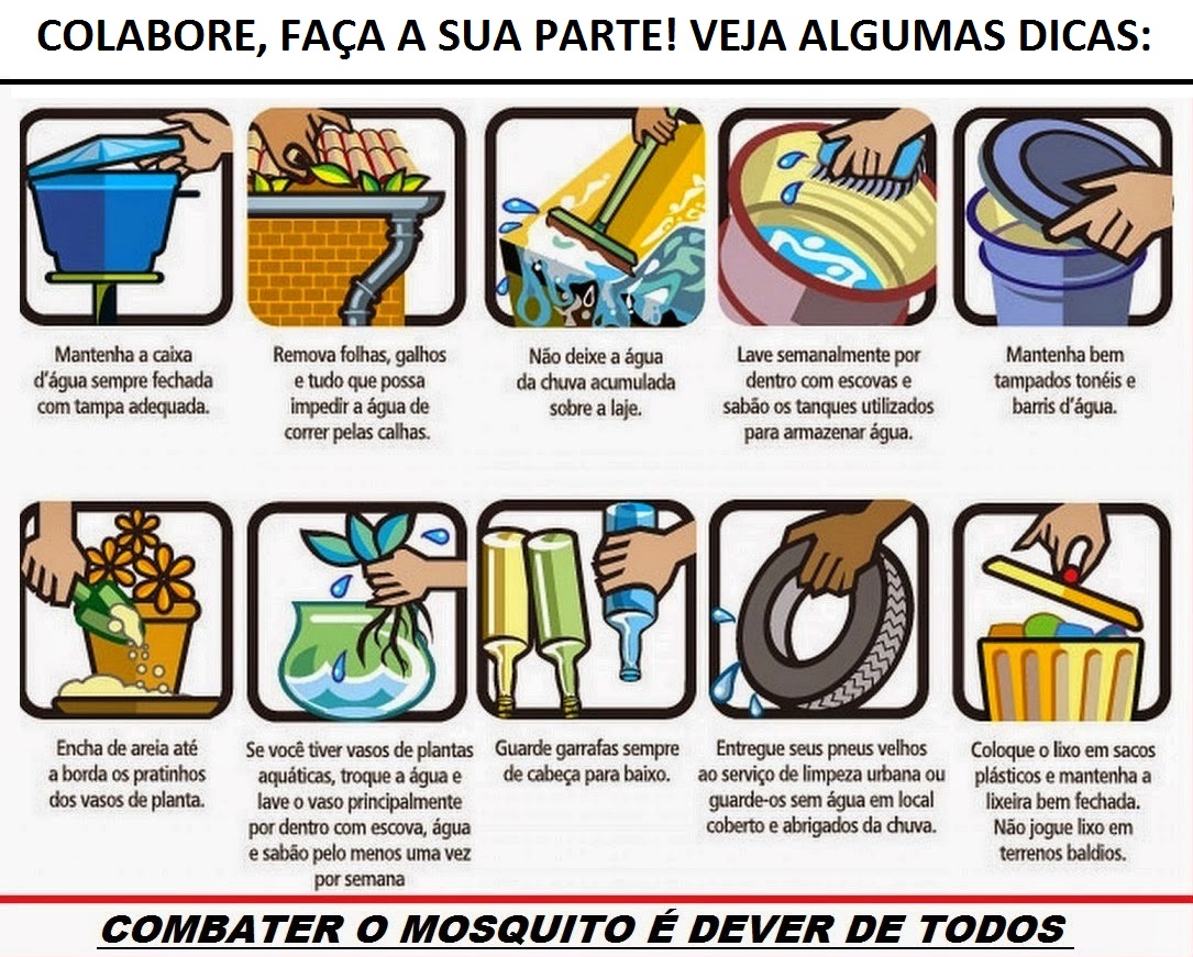 10 dicas para combater o Aedes aegypti